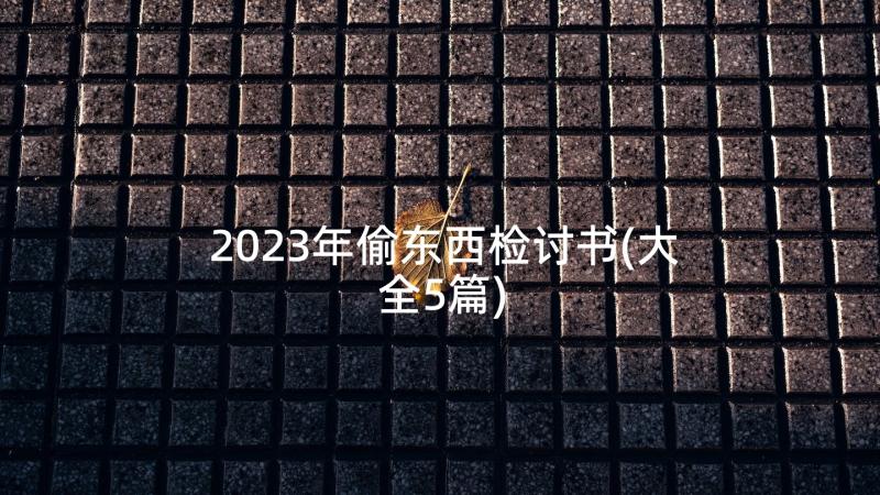 2023年偷东西检讨书(大全5篇)