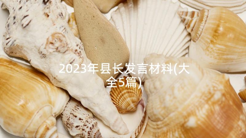 2023年县长发言材料(大全5篇)