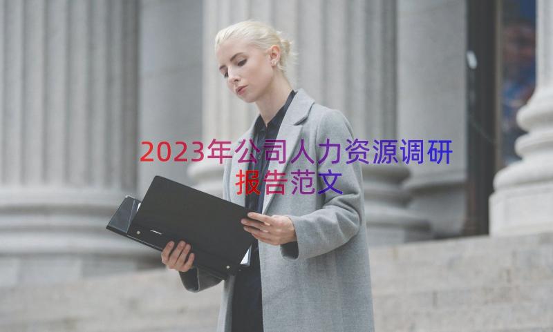 2023年公司人力资源调研报告范文（18篇）