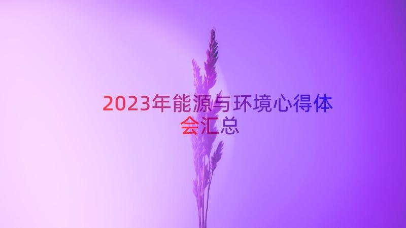 2023年能源与环境心得体会（汇总14篇）