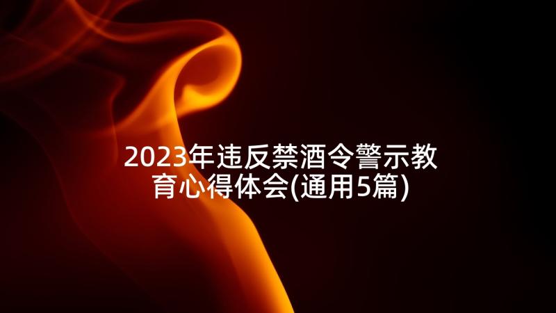 2023年违反禁酒令警示教育心得体会(通用5篇)