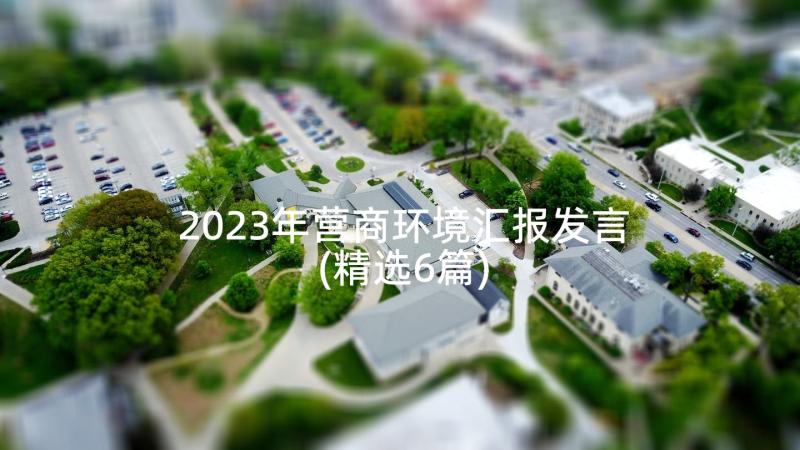 2023年营商环境汇报发言(精选6篇)