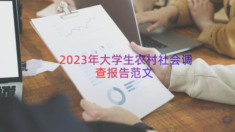 2023年大学生农村社会调查报告范文（15篇）