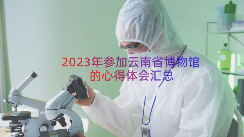 2023年参加云南省博物馆的心得体会（汇总16篇）