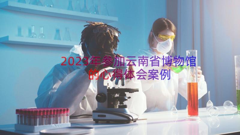 2023年参加云南省博物馆的心得体会（案例16篇）