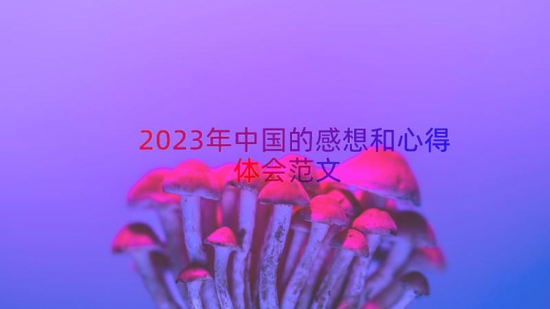 2023年中国的感想和心得体会范文（14篇）
