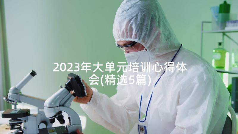 2023年大单元培训心得体会(精选5篇)