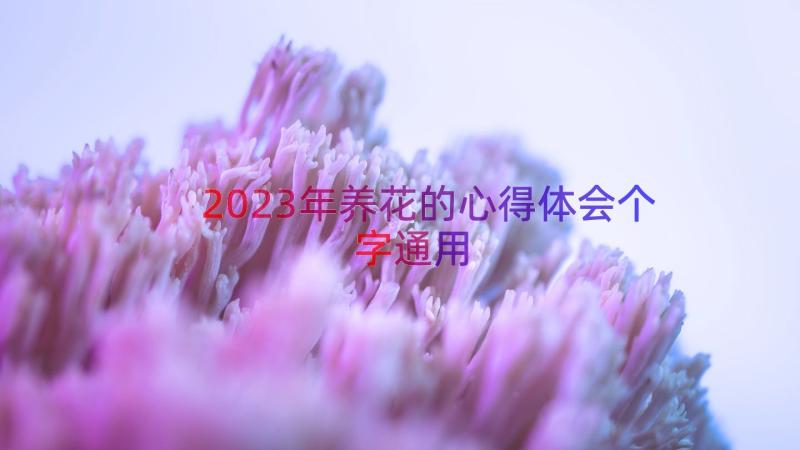 2023年养花的心得体会个字（通用20篇）