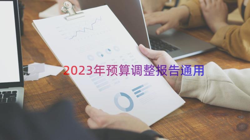 2023年预算调整报告（通用19篇）