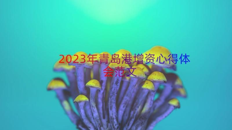 2023年青岛港增资心得体会范文（15篇）