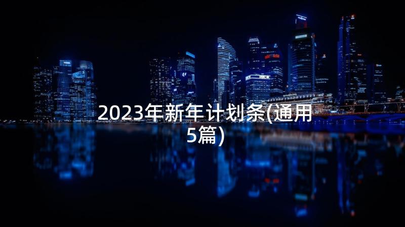 2023年新年计划条(通用5篇)
