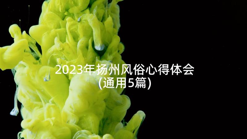 2023年扬州风俗心得体会(通用5篇)