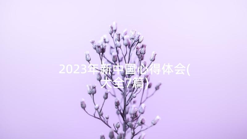 2023年新中国心得体会(大全7篇)