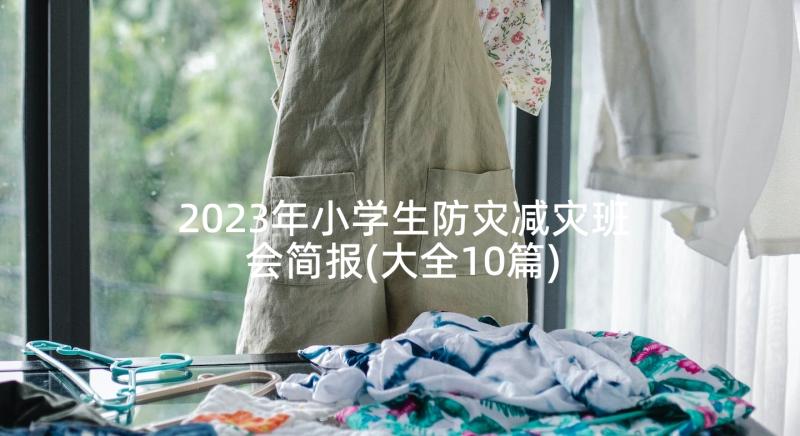 2023年小学生防灾减灾班会简报(大全10篇)