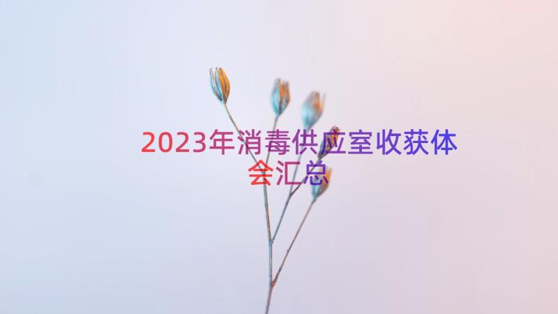 2023年消毒供应室收获体会（汇总14篇）