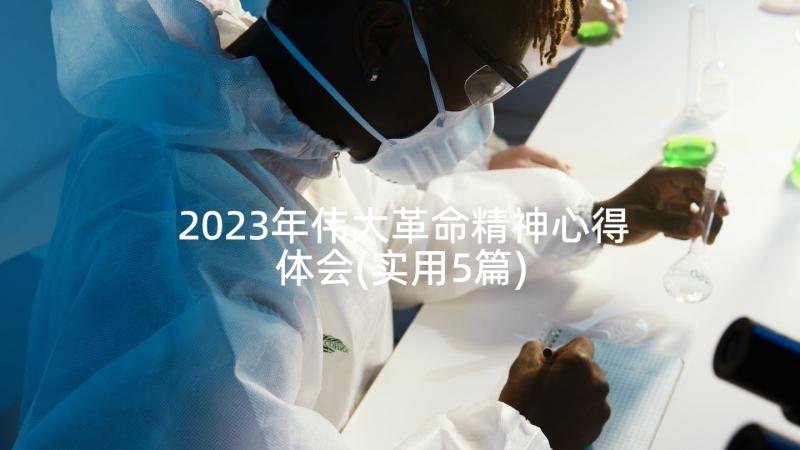 2023年伟大革命精神心得体会(实用5篇)