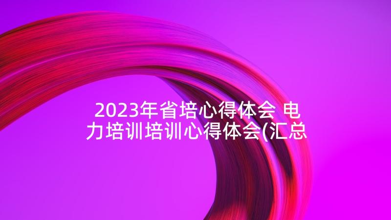 2023年省培心得体会 电力培训培训心得体会(汇总6篇)