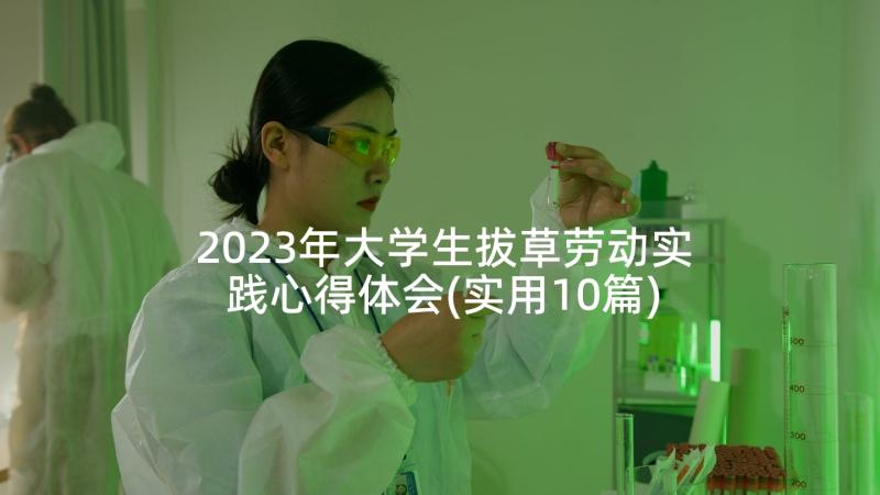 2023年大学生拔草劳动实践心得体会(实用10篇)