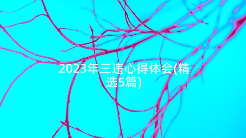 2023年三违心得体会(精选5篇)