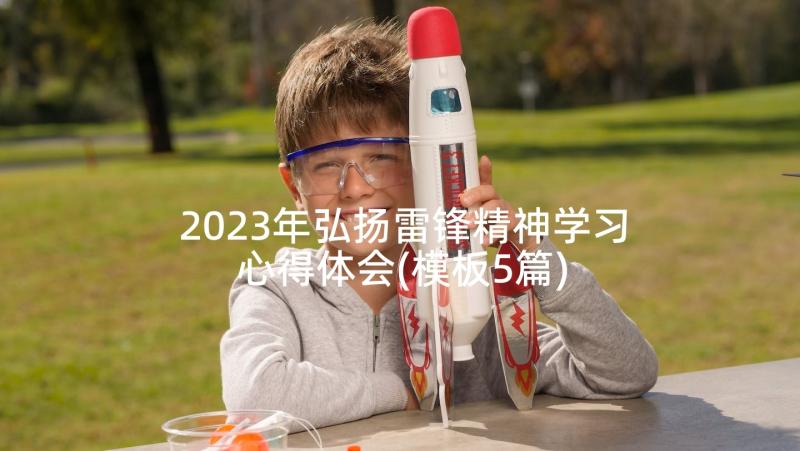 2023年弘扬雷锋精神学习心得体会(模板5篇)
