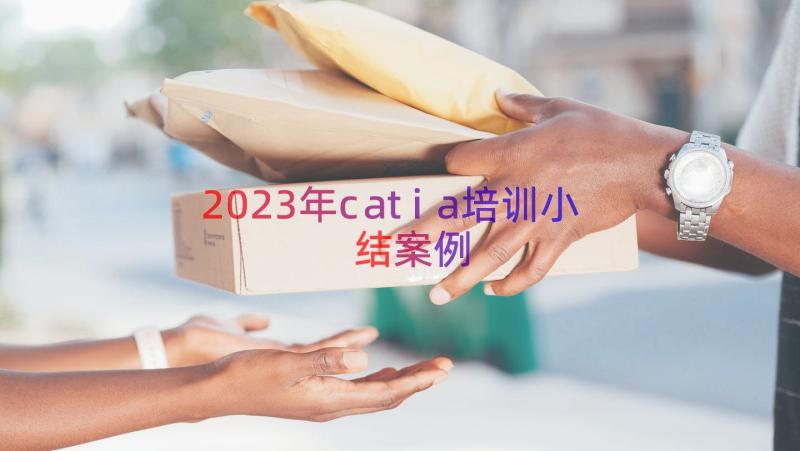 2023年catia培训小结（案例18篇）