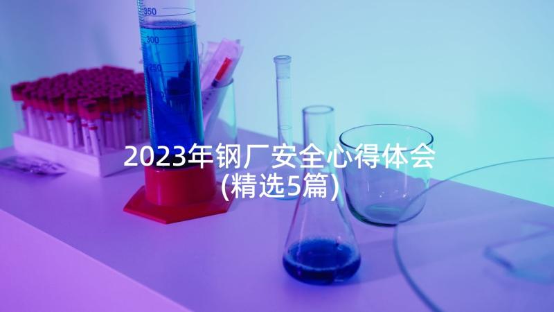 2023年钢厂安全心得体会(精选5篇)