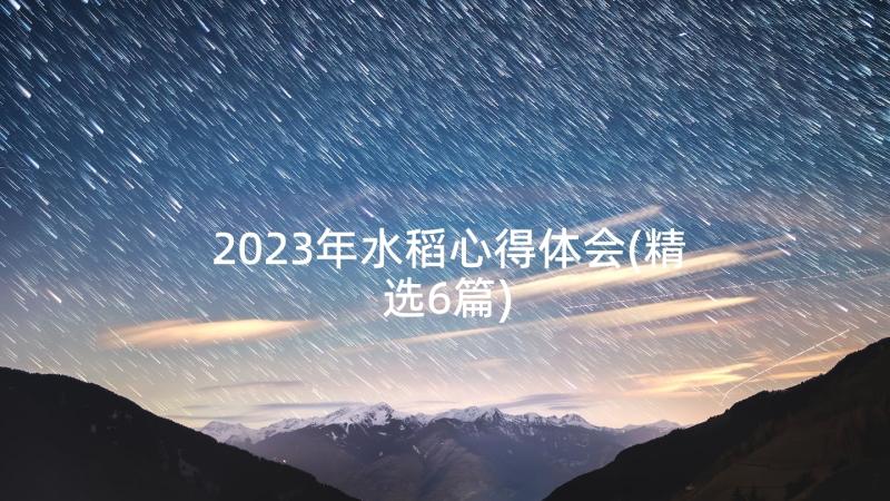 2023年水稻心得体会(精选6篇)