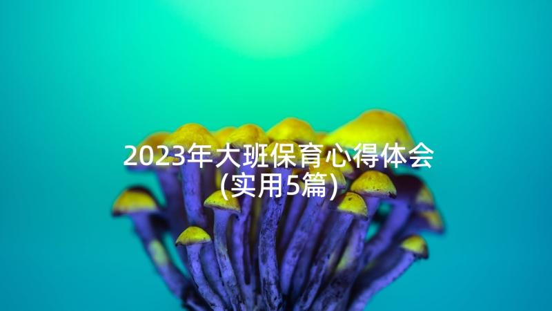 2023年大班保育心得体会(实用5篇)