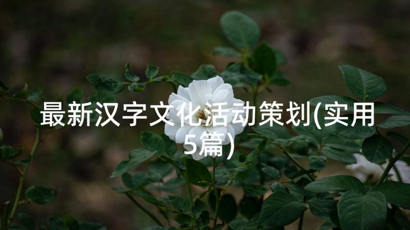 最新汉字文化活动策划(实用5篇)