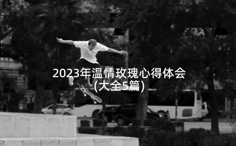 2023年温情玫瑰心得体会(大全5篇)