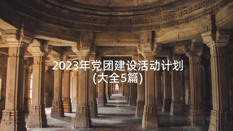 2023年党团建设活动计划(大全5篇)