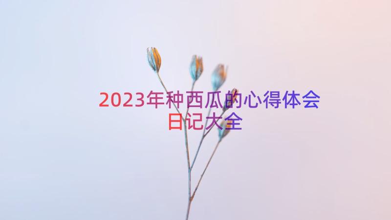 2023年种西瓜的心得体会日记大全（17篇）