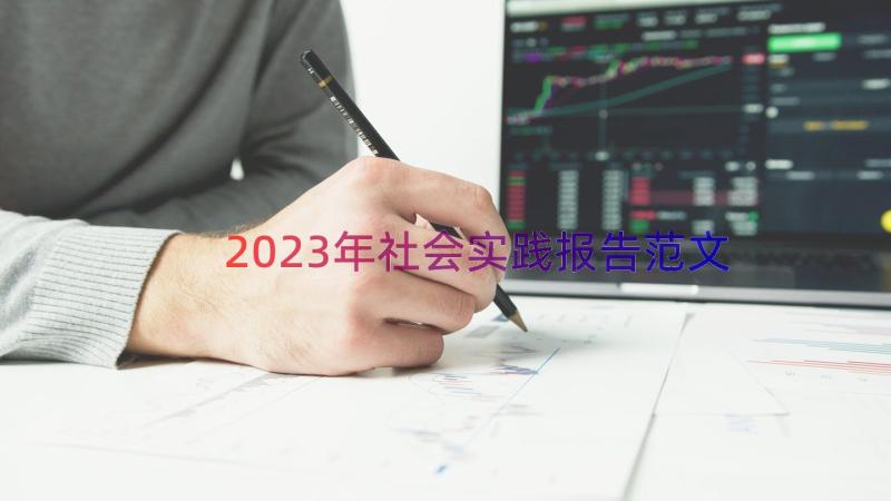 2023年社会实践报告范文（16篇）
