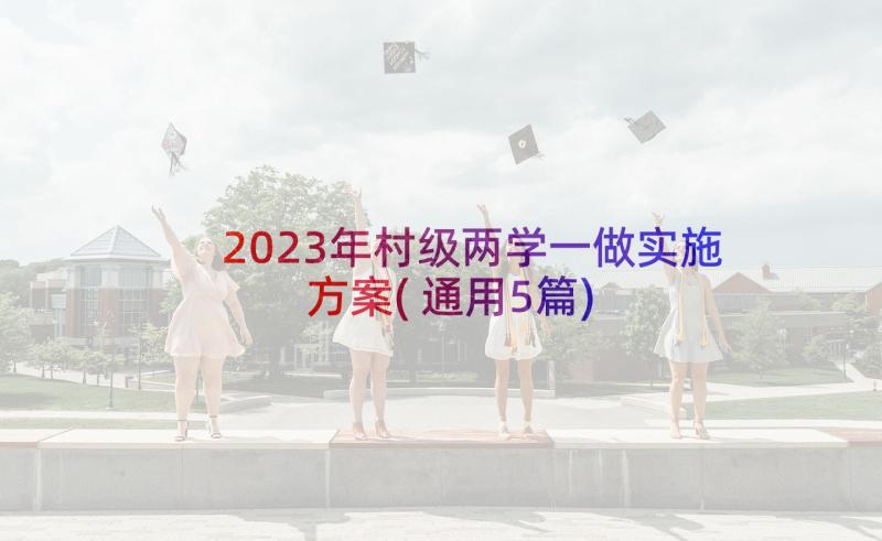 2023年村级两学一做实施方案(通用5篇)