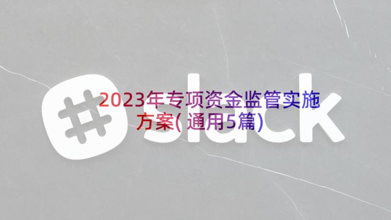 2023年专项资金监管实施方案(通用5篇)