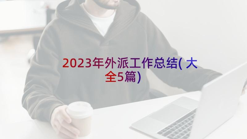 2023年外派工作总结(大全5篇)