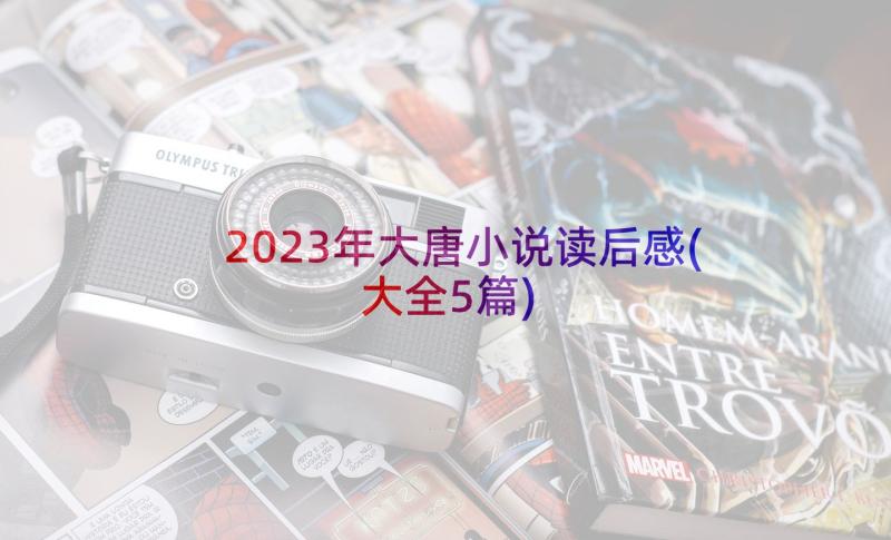 2023年大唐小说读后感(大全5篇)