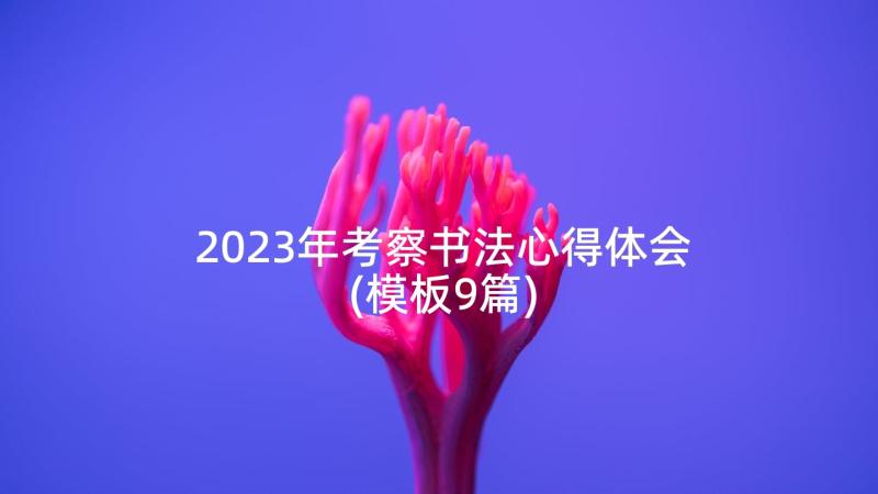 2023年考察书法心得体会(模板9篇)
