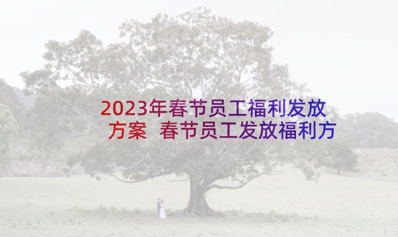 2023年春节员工福利发放方案 春节员工发放福利方案(大全5篇)