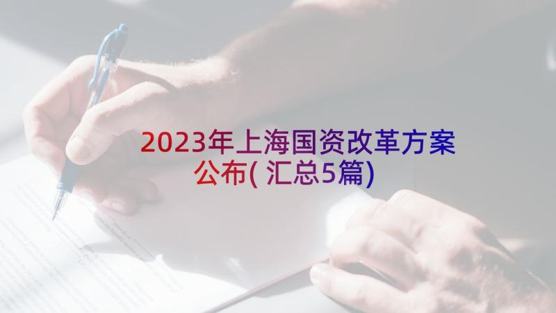 2023年上海国资改革方案公布(汇总5篇)