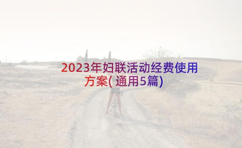 2023年妇联活动经费使用方案(通用5篇)