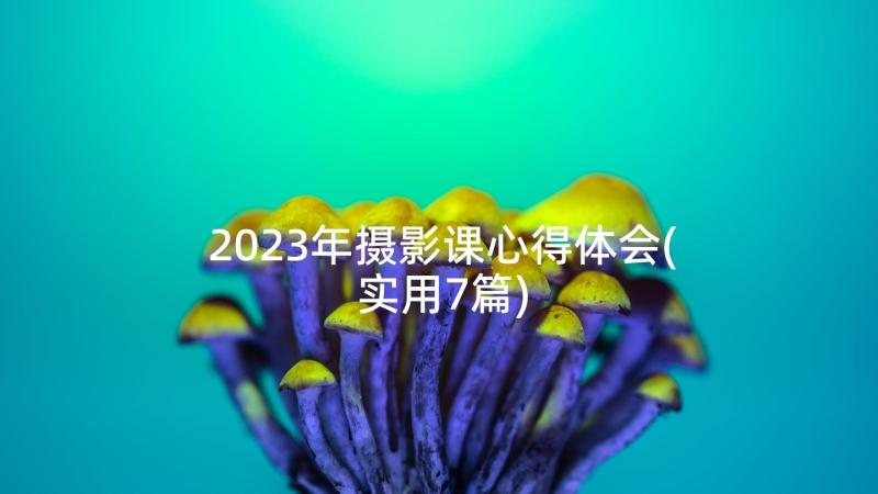 2023年摄影课心得体会(实用7篇)