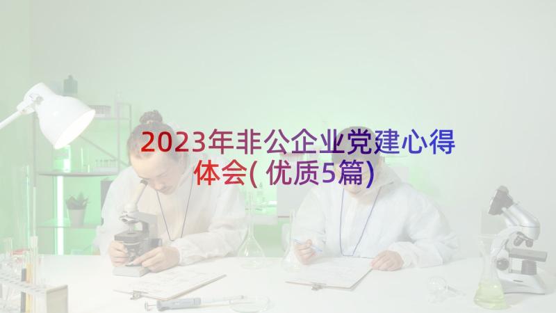 2023年非公企业党建心得体会(优质5篇)