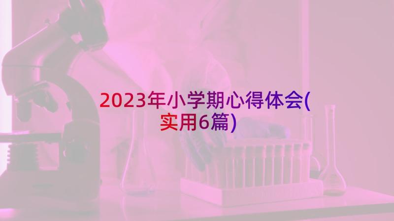 2023年小学期心得体会(实用6篇)
