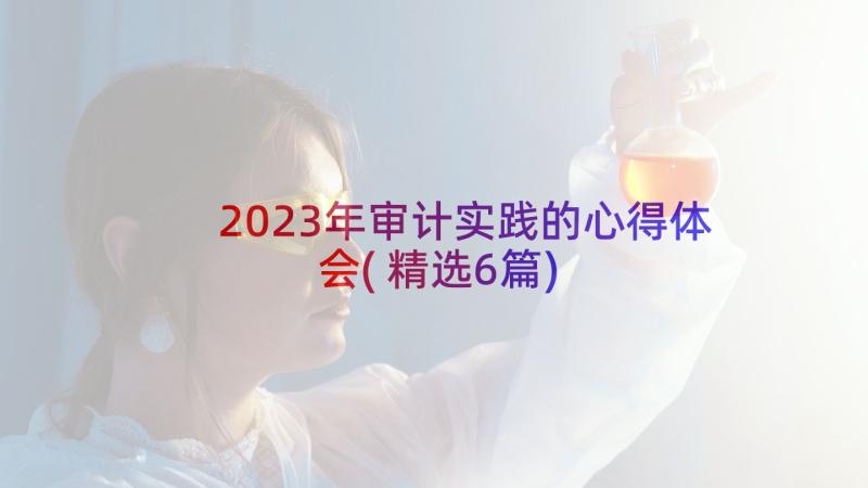 2023年审计实践的心得体会(精选6篇)