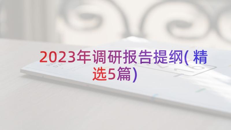 2023年调研报告提纲(精选5篇)