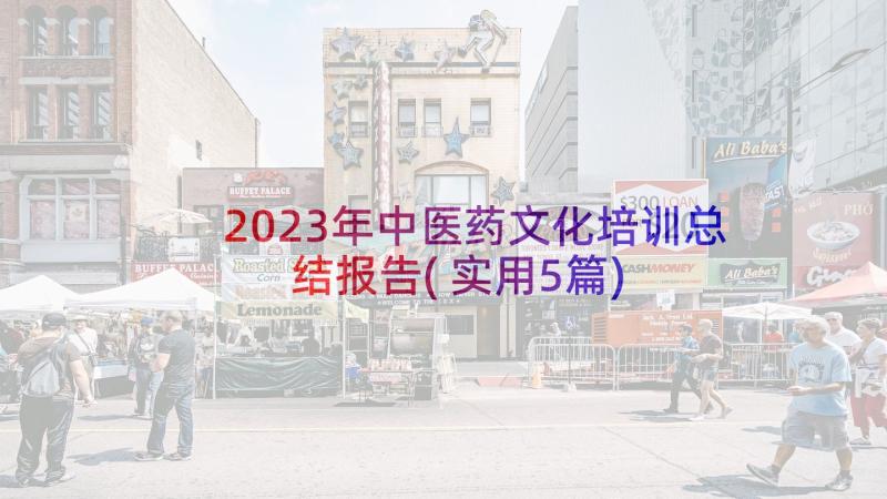 2023年中医药文化培训总结报告(实用5篇)
