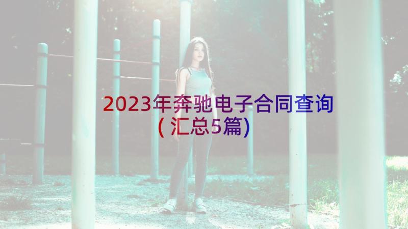 2023年奔驰电子合同查询(汇总5篇)