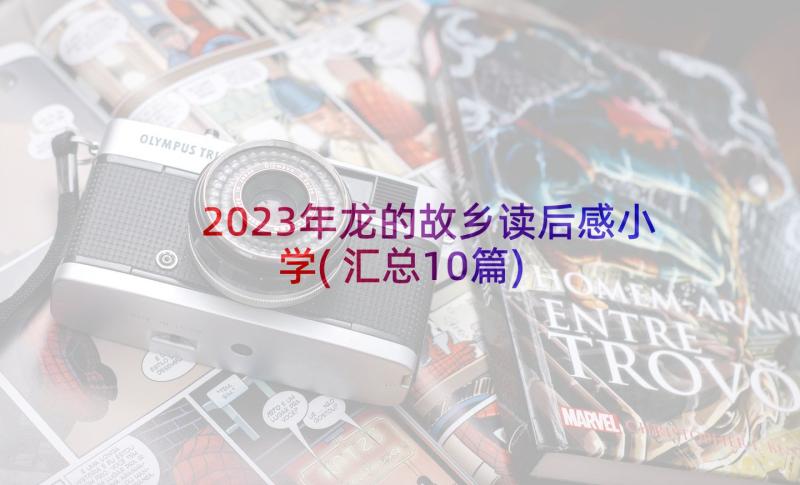 2023年龙的故乡读后感小学(汇总10篇)
