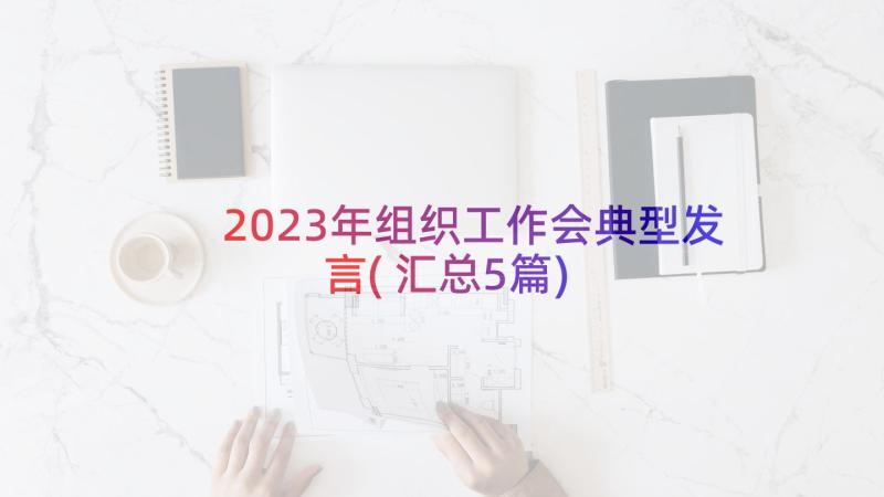 2023年组织工作会典型发言(汇总5篇)